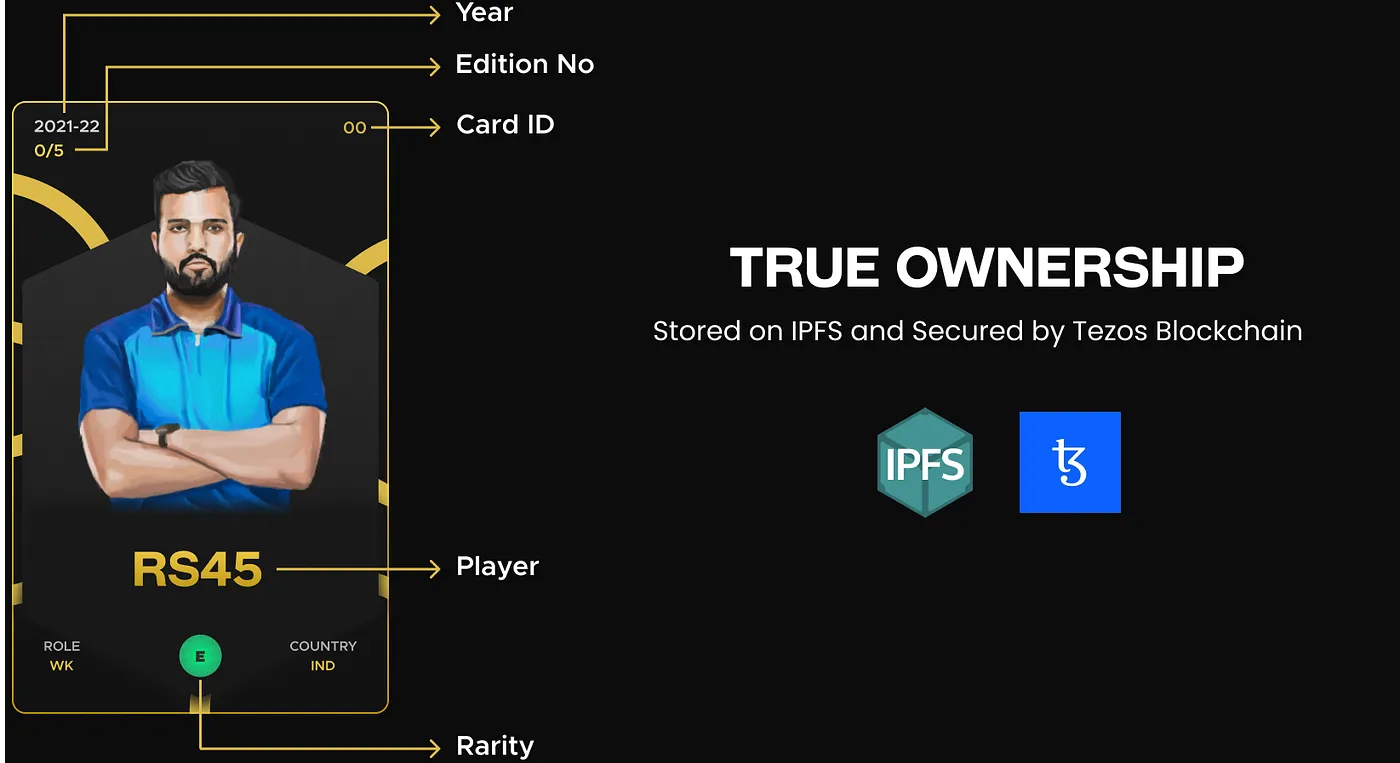 Crictez Card Breakdown